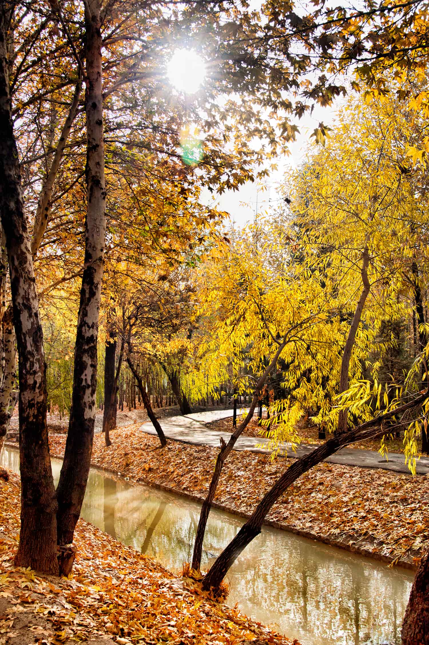 Mehdi Ghasemi PHOTOGRAPHY